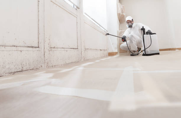 24/7 Emergency Mold Cleanup experts in New Vernon, NJ